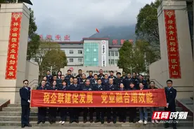 宜章税务：税企联建聚合力 共绘发展“红绿卷”图片