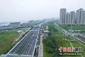 武汉两大市级重点工程节前投入投用图片