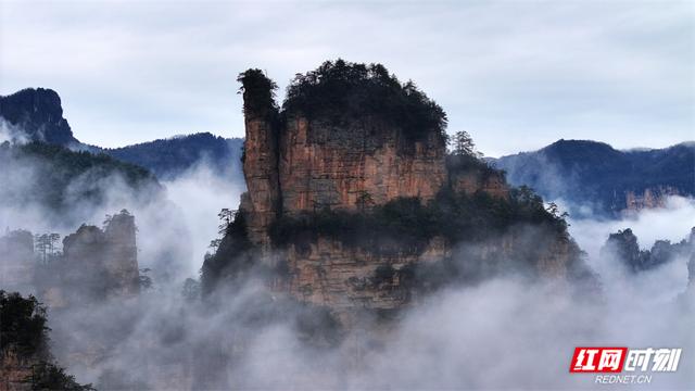 春雨润峰林 云海入画来 张家界十里画廊雨后现“阿凡达”仙境