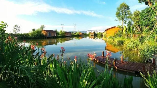 在美丽南方，赴一场诗意画卷~