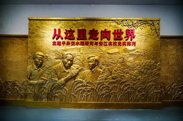今天一件大事发生在湖南这里，我们来解读…