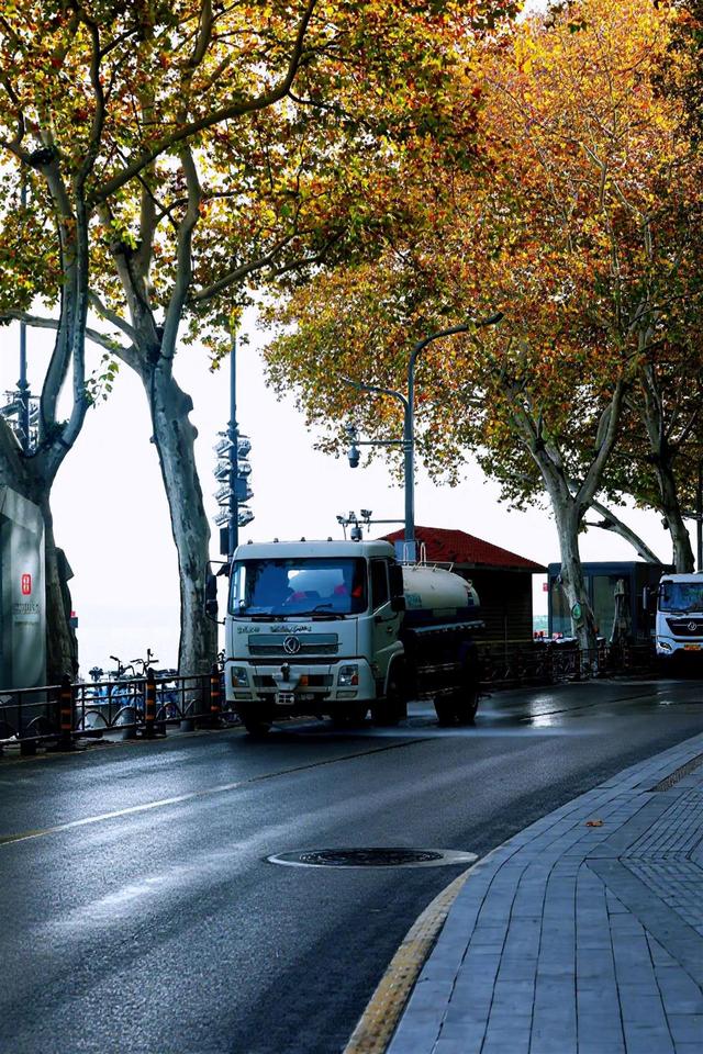 东湖南路上演初冬的浪漫：满径梧桐黄，一路保洁忙