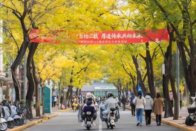 藏不住了！攒了整个秋天的北医美景，立冬前全部分享！