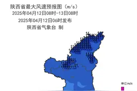 遭遇强风沙尘天气 陕西多个重点景区紧急闭园图片