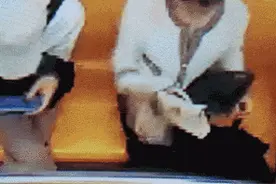 上海地铁上出现一只价值十几万的包……图片