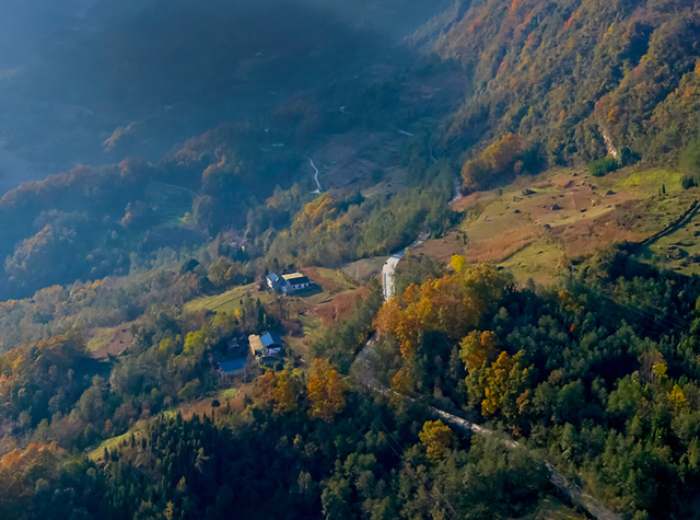青睐绵阳 ‖ 云端公路 层林尽染！初冬驾游平武药丛山，限定版的视觉盛宴~