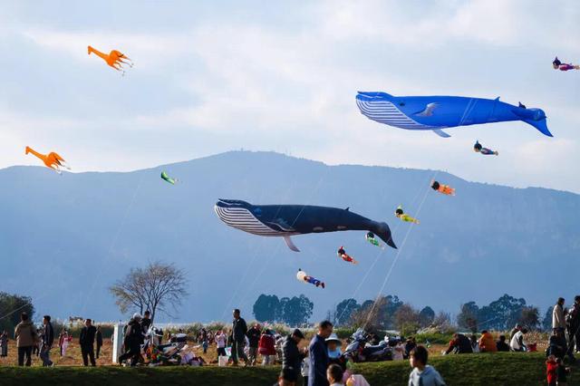 昆明8条2025乡村旅游精品线路出炉，附详细游玩攻略