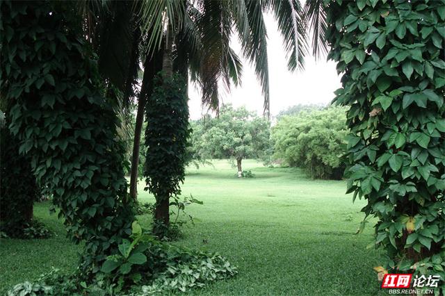 秋游时刻丨秋意正浓，海南正好