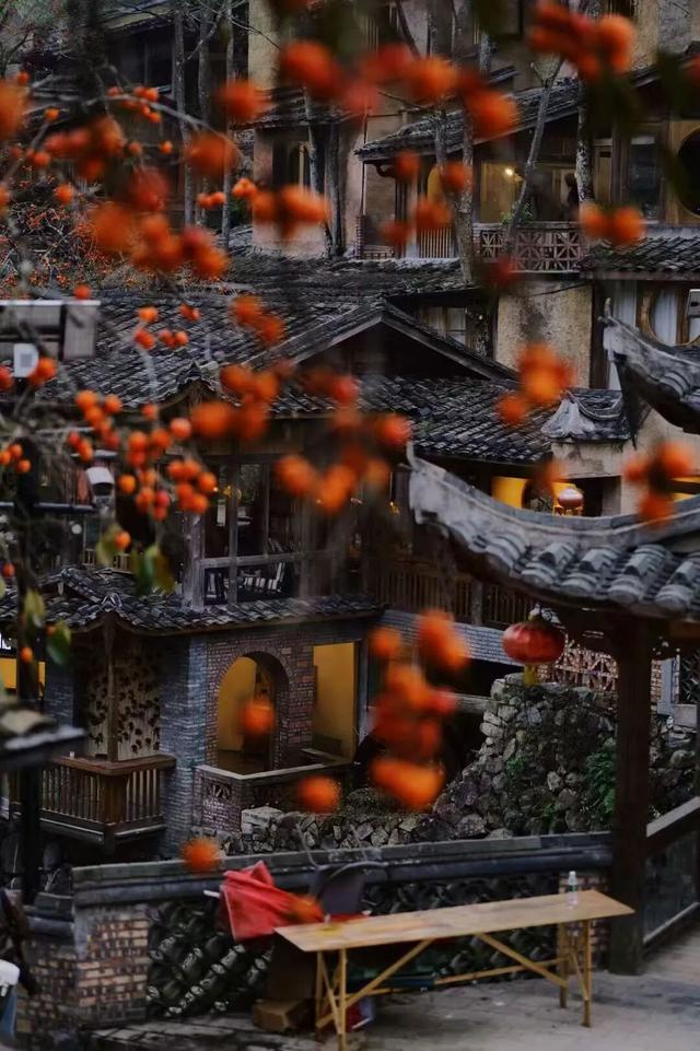 不赶行程的自由！屏南2天1夜，与草场、火凤凰、红柿子浪漫相遇