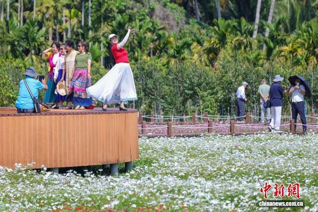 海南博鳌：绚烂花海引客来