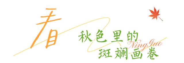 宁国的秋冬，藏着N种让人心动的打开方式