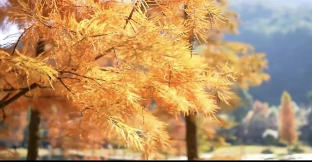 现在的黔南，已经美成这样了→