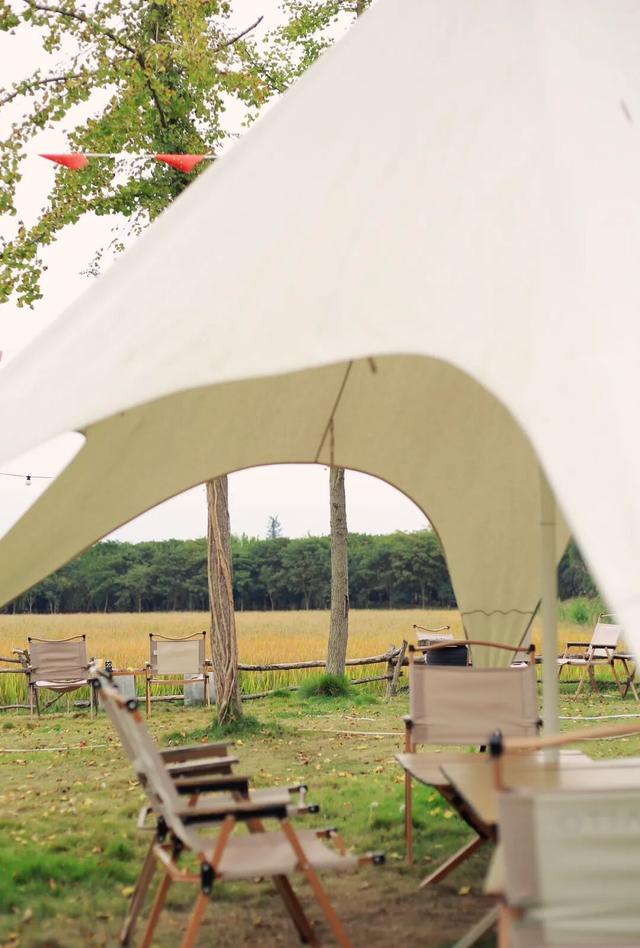 稻浪+咖啡的限时CP，这份美景错过等一年