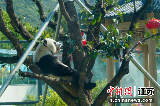 无锡动物园邀市民游客共赴“秋趣”之旅