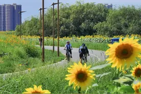 折叠自行车拒绝搭乘？成都地铁回应：没有“一刀切”，包装完好符合尺寸要求可携带图片