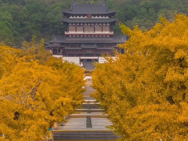 武进绝美打卡地！在嘉泽、湖塘、雪堰、前黄……