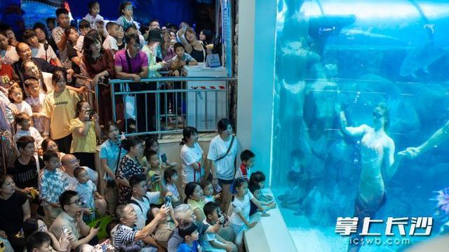 双节同庆，长沙海底世界每天13个小时“鲸”彩狂欢不停歇