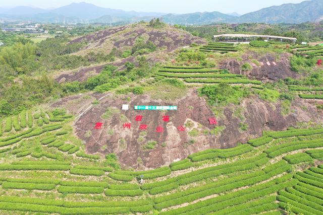 35公里走廊串珠成链，惠东白盆珠绘就“山湖毓秀”和美画卷