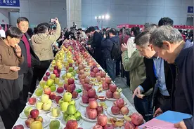 这座万亿之城引领了全球果品产业！首次世界专题大会刚刚在此举办图片