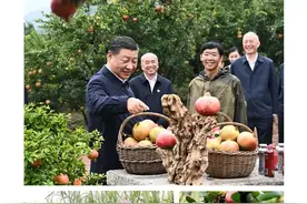 时政微观察丨“土特产”带来好日子图片