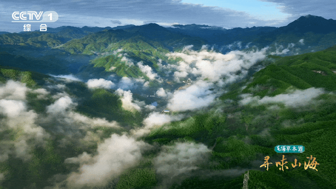 云深不知处，一箸知霍山