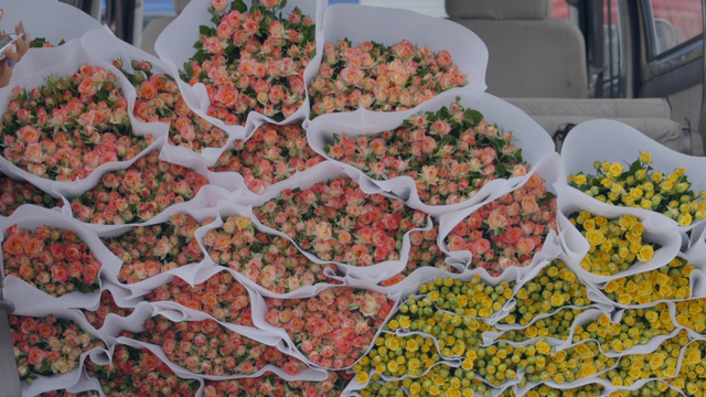 网络中国节·七夕 | 云南鲜切花节前市场一线观察