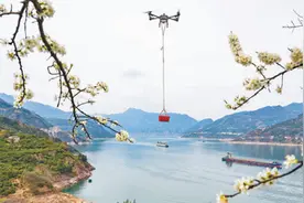 湖北秭归：春橙上市运输忙图片