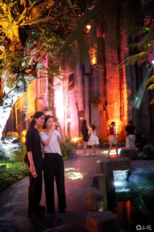 城事｜星光与绿意交织：上海温室花园夜游点亮夏夜生活