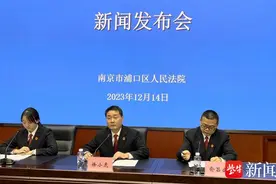 南京浦口法院“三步重生法”力促破产公司重整成功图片