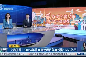 火热开局！浦东2024年重大建设项目年度投资1656亿元图片