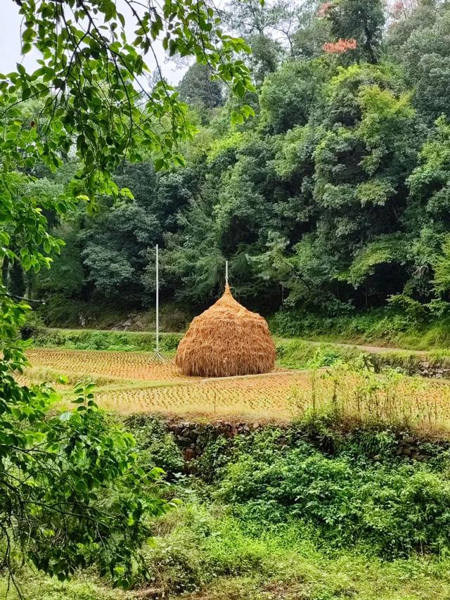 游天台山日记 + 椒江西山小行记