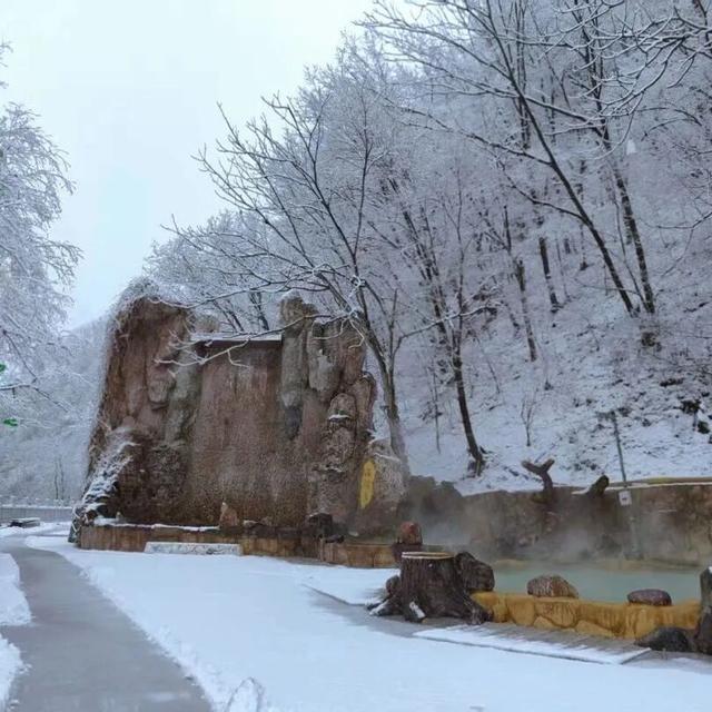 乘着高铁游白山 | “百区百景”打卡攻略之仙人桥温泉旅游度假区