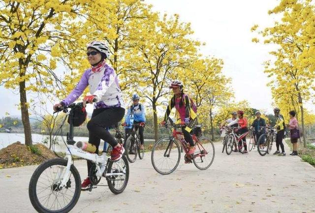 国庆中秋游广州，各区文旅全攻略