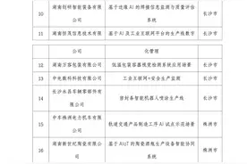 “湖南制造”AI化，50个应用场景带动“有样学样”图片