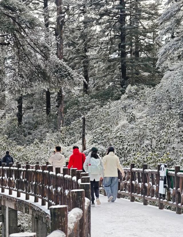 秋假封神目的地！瓦屋山飘雪啦！美到不想回家~