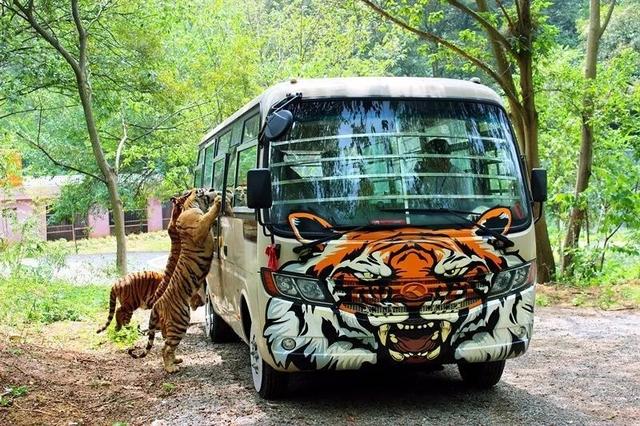 限时免费！江北有7家！