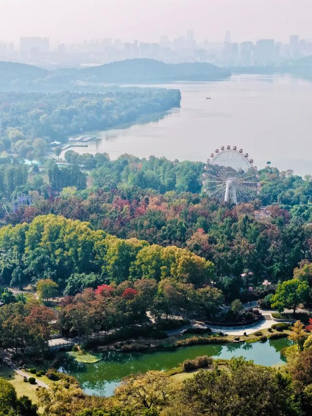 东湖秋日图鉴③｜磨山秋笺：一叶一诗，帧帧藏秋韵