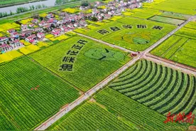 启动报名！3月，南县万亩花海邀你跑进春天图片