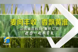 早安山东｜一揽子金融政策发布 支持稳市场稳预期；今起，济南个人住房公积金贷款利率下调0.25个百分点；未来三天山东多阴雨天气图片