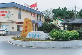 肇庆新区的产业发展，带旺了典型村人气图片