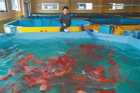 “上楼”耕海 打造海产“硅谷”图片