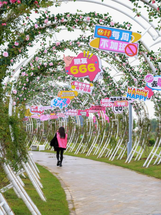 洛阳8天，根本不够玩！