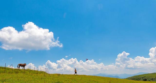 鲜花、云海、草甸 四川米易“云端秘境”马鹿寨迎来最美时刻｜图集