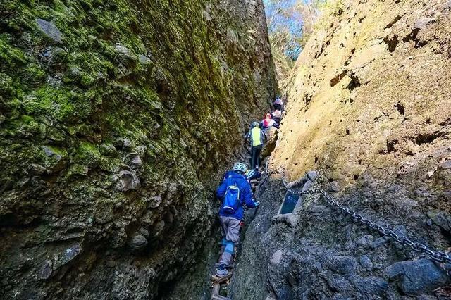 五条“冬”趣线路，邀您邂逅童话六安｜第十五届安徽国际文化旅游节