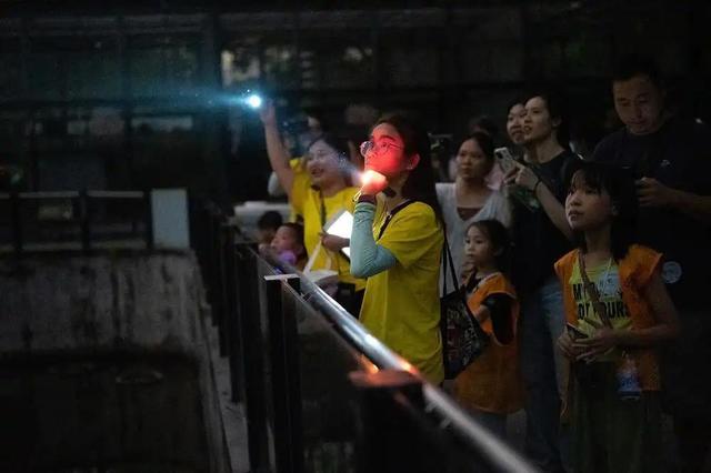 广州动物园首推“海陆空一夜营”，揭秘你没见过的动物王国