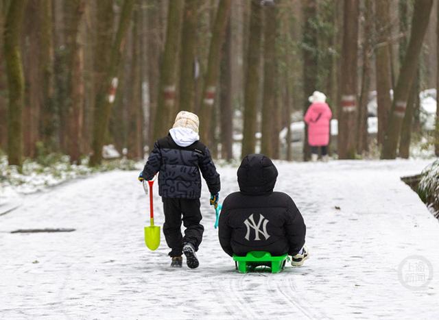 山王坪雪景如画 雪趣乐无边