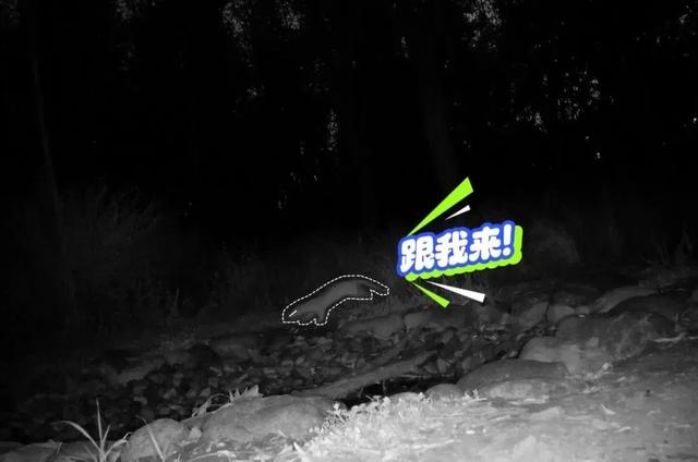 福利丨温榆河夜溯溪流与昆虫探秘活动招募