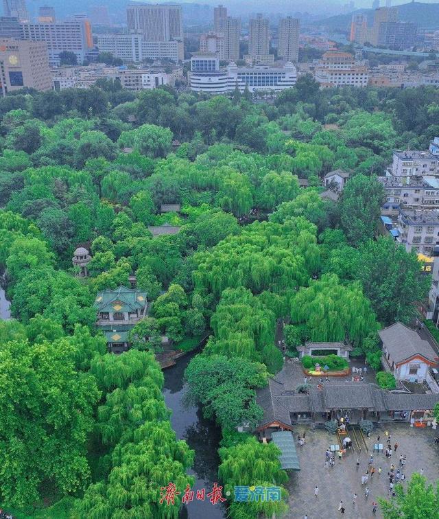 一年四季 泉在济南丨趵突泉雨后撒欢 漫步其中感受别样浪漫