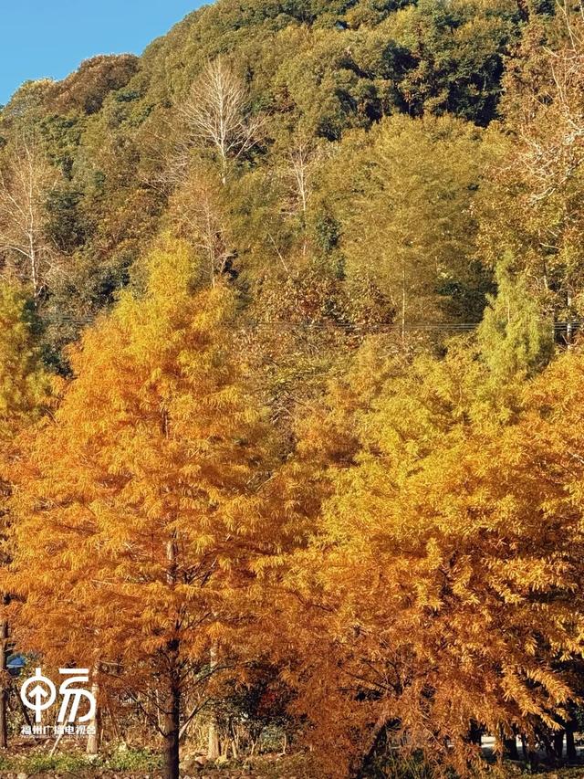 红了！红了！不少人都出动了...