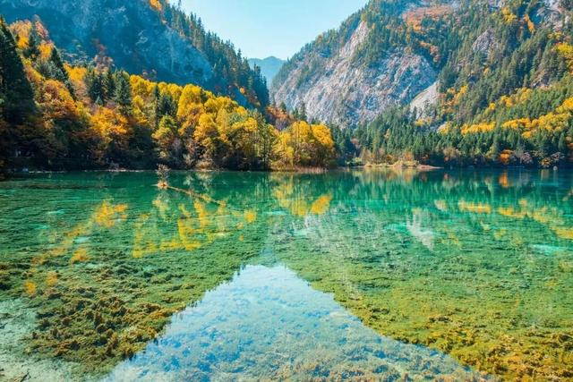 每个景区都有烤肠，凭什么九寨沟的烤肠火了？